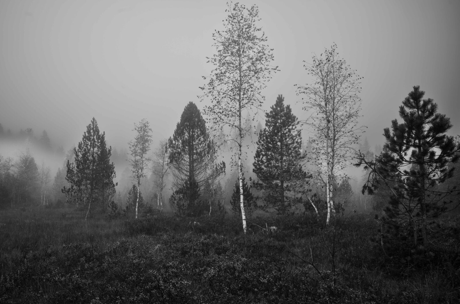 20251013 5504870 L1000893